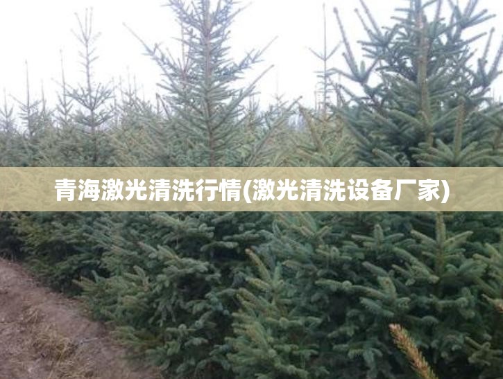青海激光清洗行情(激光清洗设备厂家)
