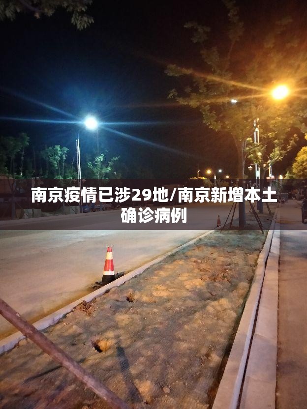 南京疫情已涉29地/南京新增本土确诊病例