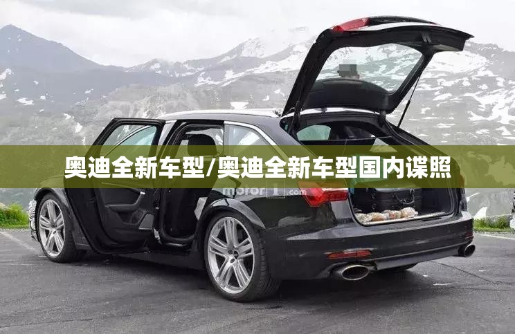 奥迪全新车型/奥迪全新车型国内谍照 奥迪全新车型/奥迪全新车型国内谍照