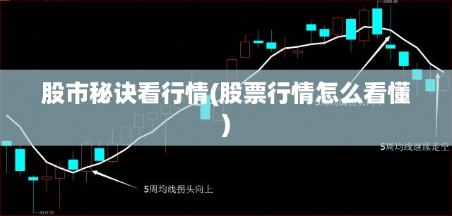 股市秘诀看行情(股票行情怎么看懂) 股市秘诀看行情(股票行情怎么看懂)
