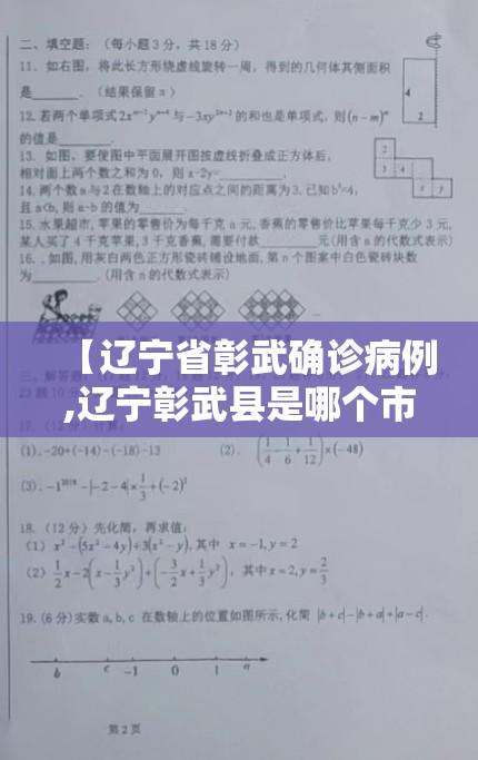 【辽宁省彰武确诊病例,辽宁彰武县是哪个市】