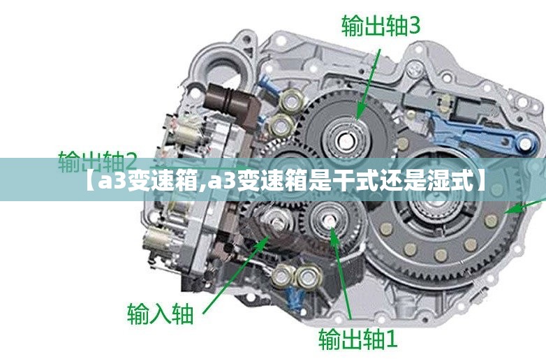 【a3变速箱,a3变速箱是干式还是湿式】