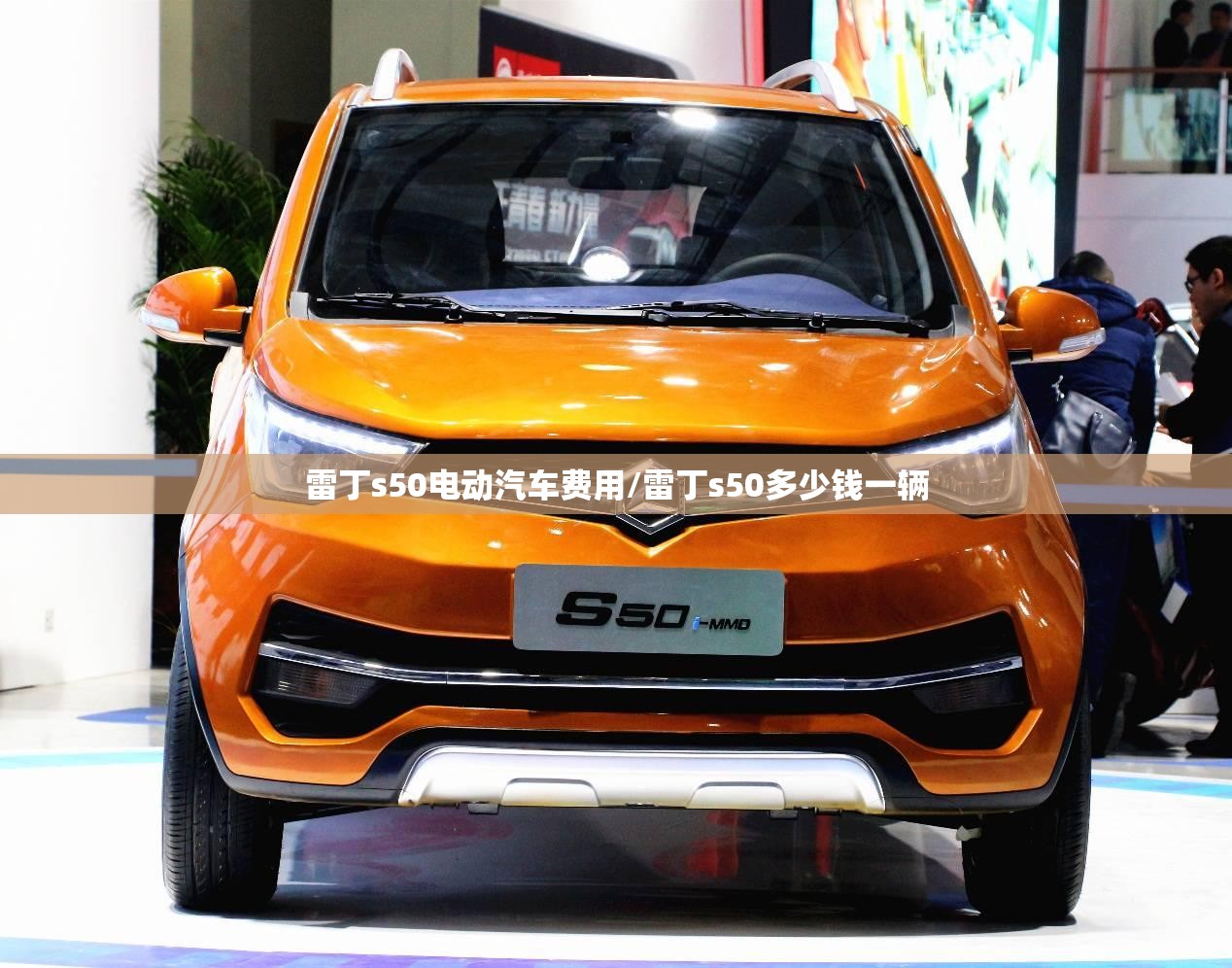 雷丁s50电动汽车费用/雷丁s50多少钱一辆 雷丁s50电动汽车费用/雷丁s50多少钱一辆