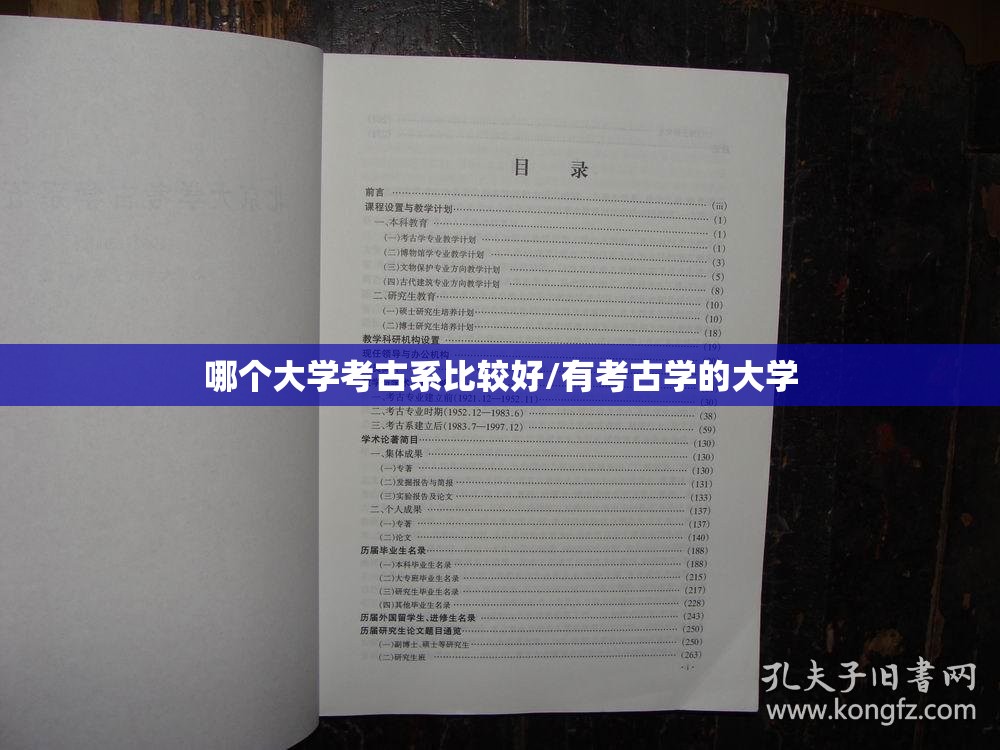 哪个大学考古系比较好/有考古学的大学