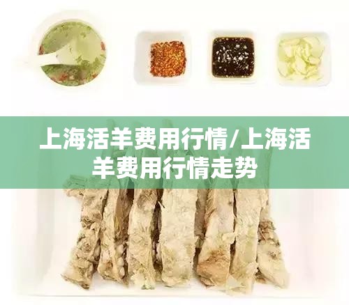 上海活羊费用行情/上海活羊费用行情走势