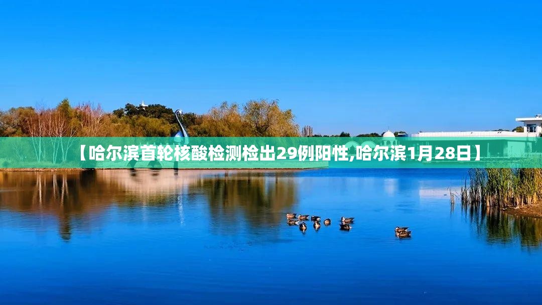 【哈尔滨首轮核酸检测检出29例阳性,哈尔滨1月28日】