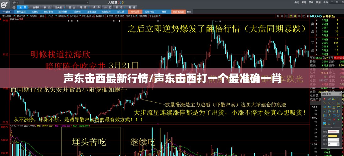 声东击西最新行情/声东击西打一个最准确一肖