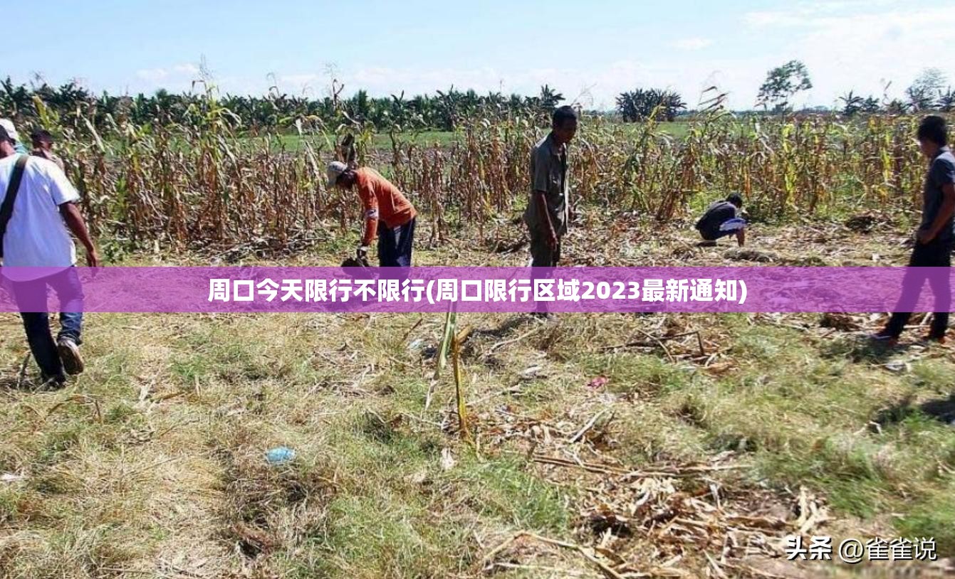 周口今天限行不限行(周口限行区域2023最新通知) 周口今天限行不限行(周口限行区域2023最新通知)