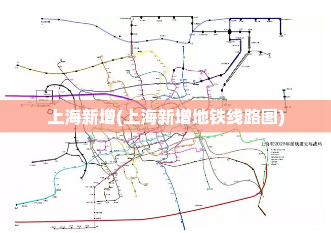 上海新增(上海新增地铁线路图)