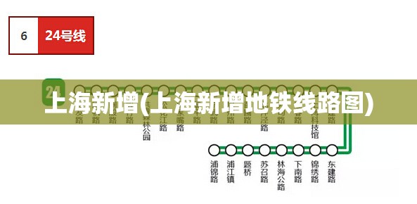 上海新增(上海新增地铁线路图)