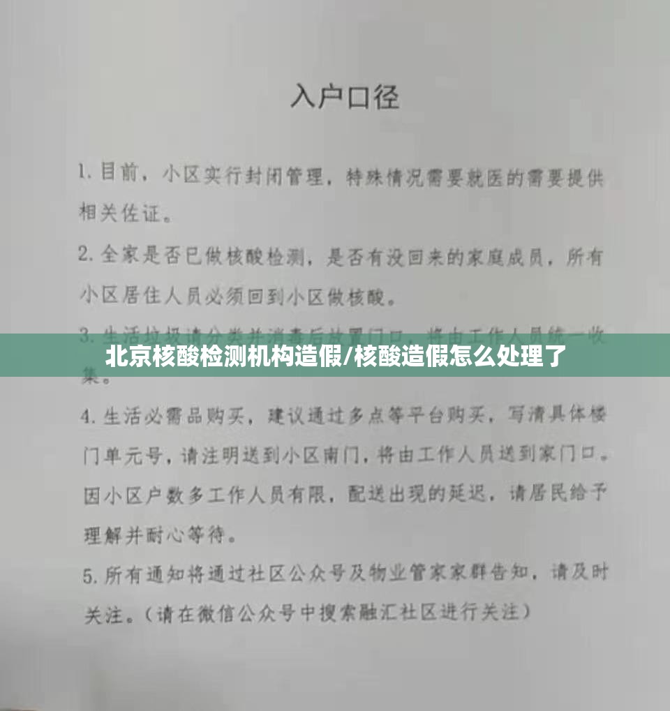 北京核酸检测机构造假/核酸造假怎么处理了