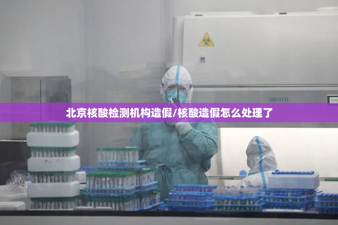 北京核酸检测机构造假/核酸造假怎么处理了