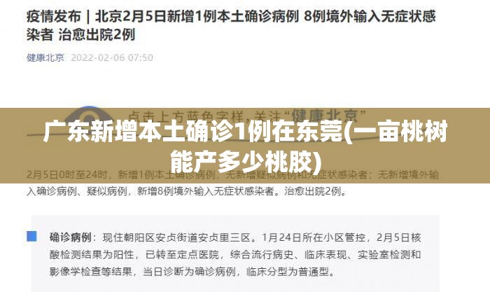 广东新增本土确诊1例在东莞(一亩桃树能产多少桃胶)