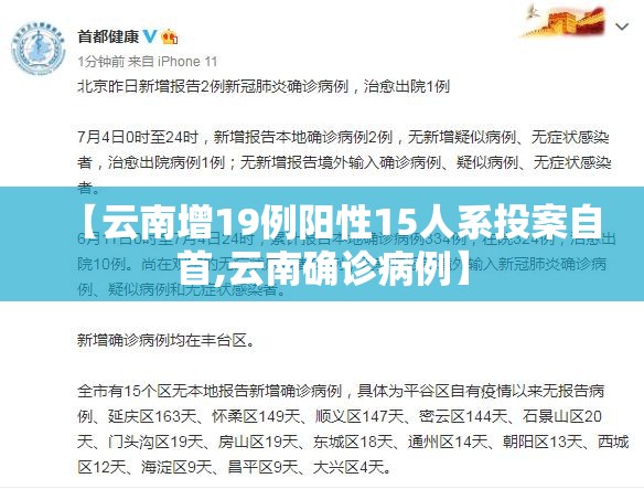 【云南增19例阳性15人系投案自首,云南确诊病例】 【云南增19例阳性15人系投案自首,云南确诊病例】