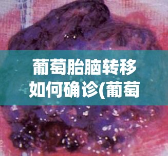 葡萄胎脑转移如何确诊(葡萄胎转移肺是子宫癌吗)