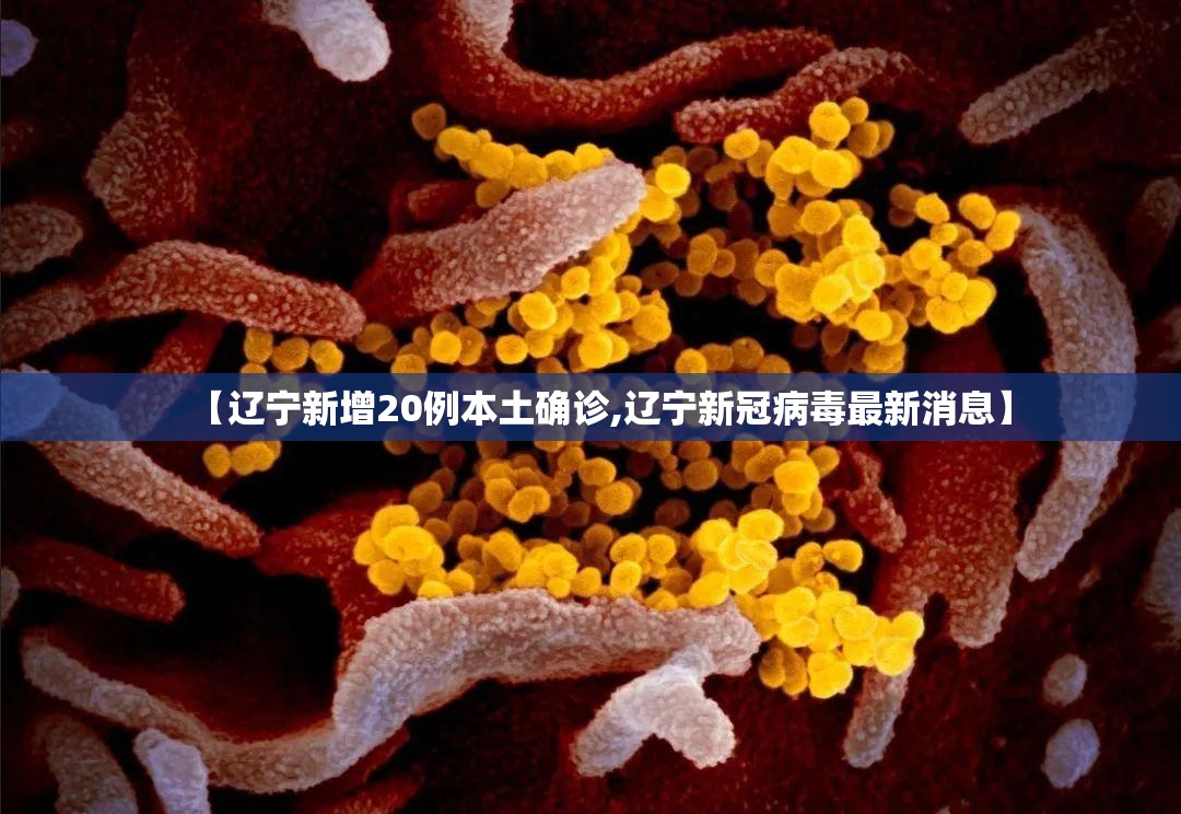 【辽宁新增20例本土确诊,辽宁新冠病毒最新消息】 【辽宁新增20例本土确诊,辽宁新冠病毒最新消息】