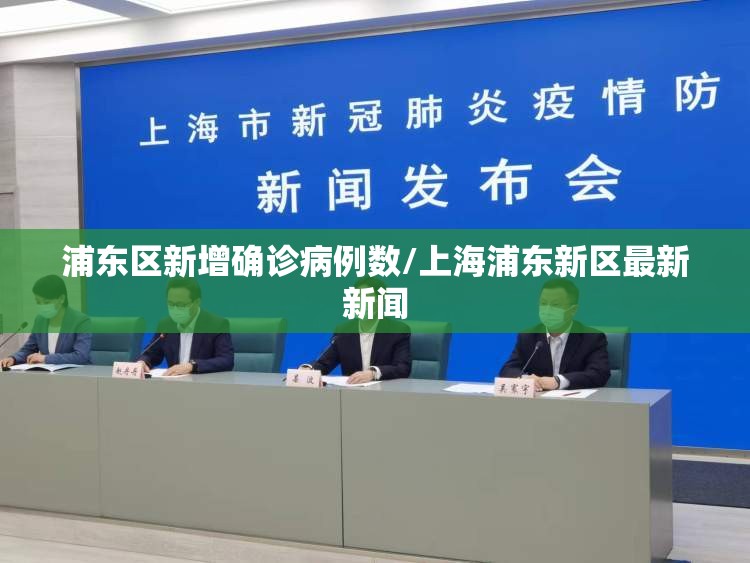 浦东区新增确诊病例数/上海浦东新区最新新闻