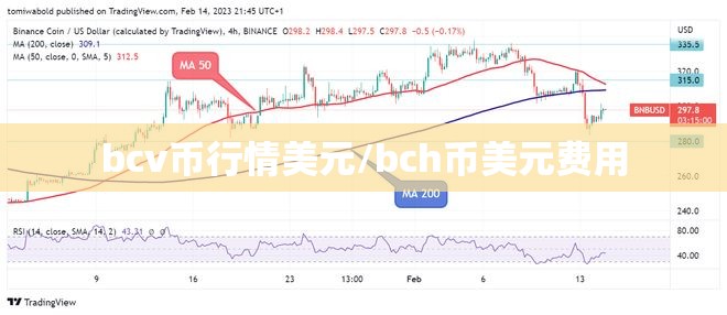 bcv币行情美元/bch币美元费用