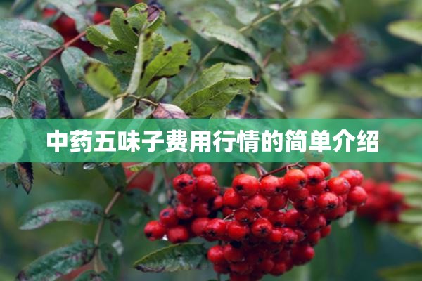 中药五味子费用行情的简单介绍 中药五味子费用行情的简单介绍
