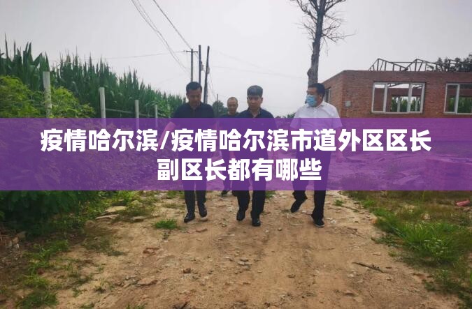 疫情哈尔滨/疫情哈尔滨市道外区区长 副区长都有哪些