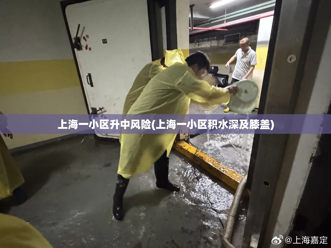 上海一小区升中风险(上海一小区积水深及膝盖)