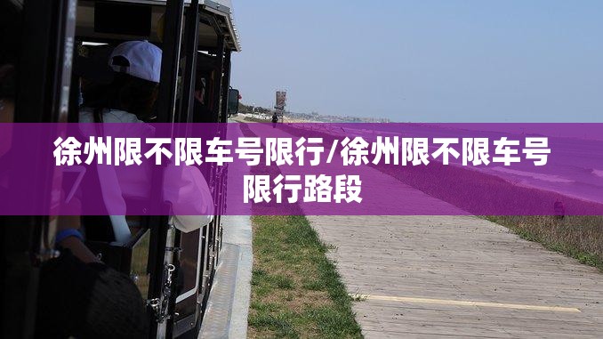 徐州限不限车号限行/徐州限不限车号限行路段
