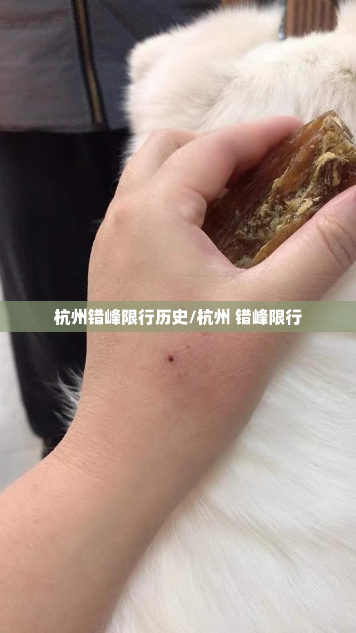 杭州错峰限行历史/杭州 错峰限行 杭州错峰限行历史/杭州 错峰限行