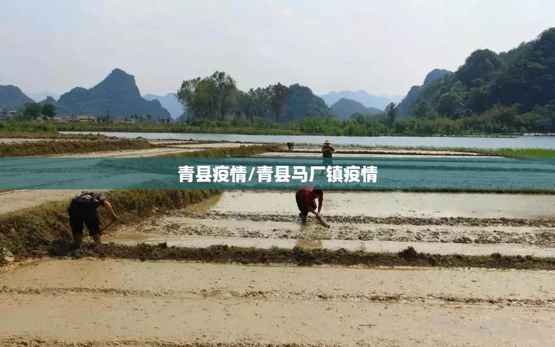 青县疫情/青县马厂镇疫情 青县疫情/青县马厂镇疫情