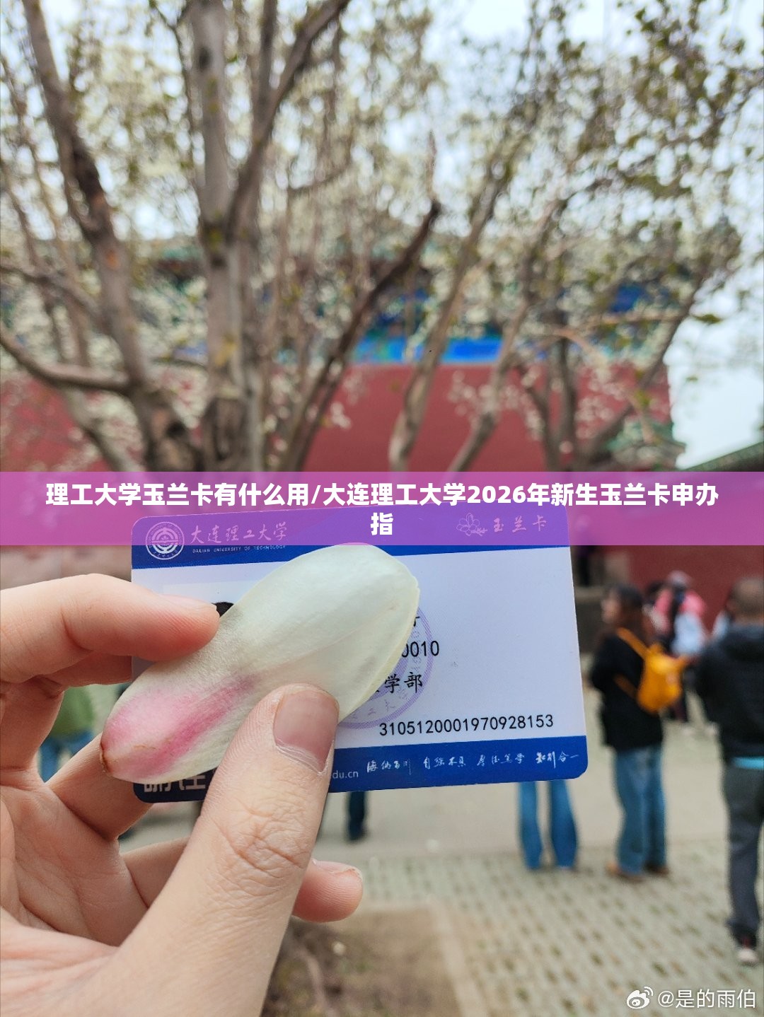 理工大学玉兰卡有什么用/大连理工大学2026年新生玉兰卡申办指 理工大学玉兰卡有什么用/大连理工大学2026年新生玉兰卡申办指