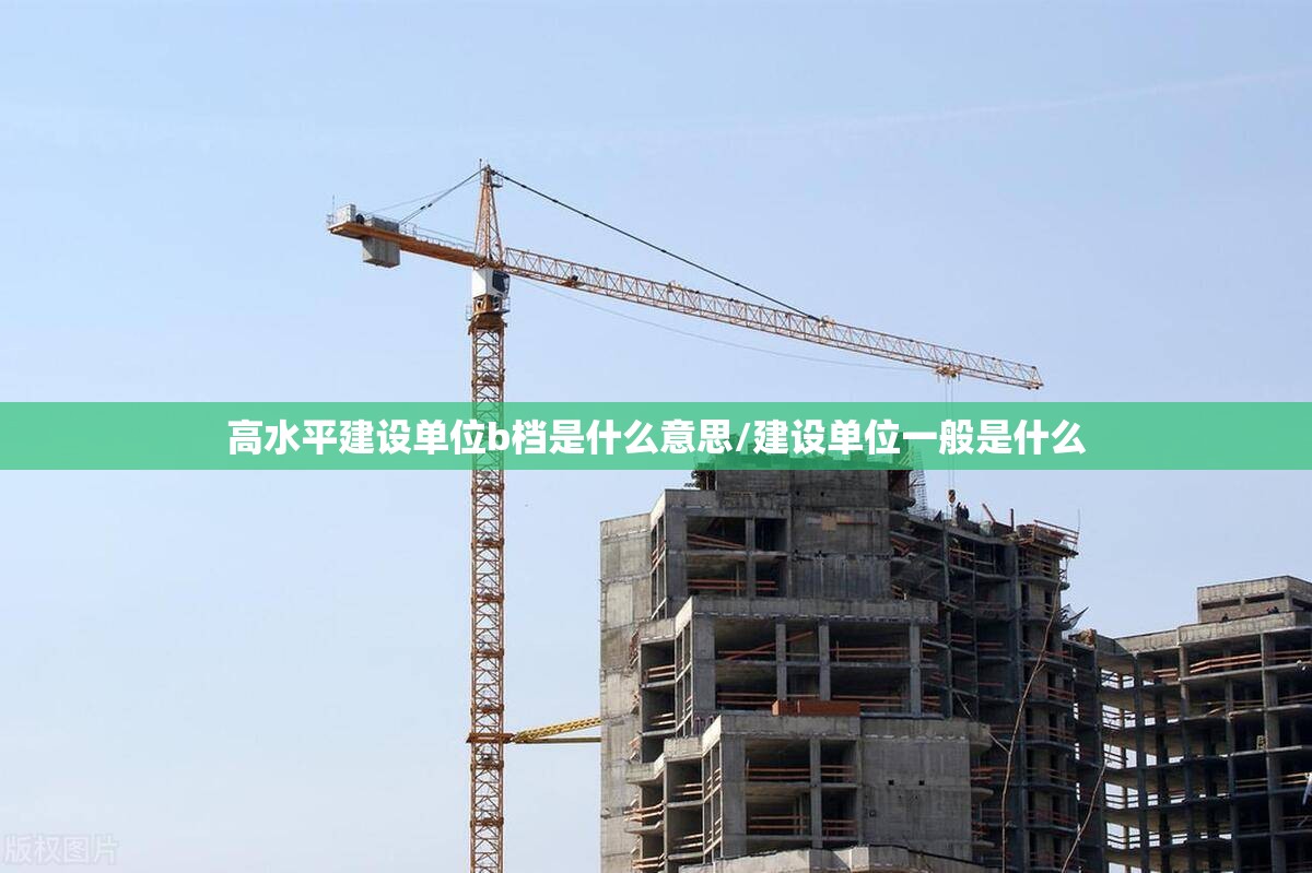 高水平建设单位b档是什么意思/建设单位一般是什么