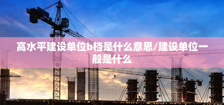 高水平建设单位b档是什么意思/建设单位一般是什么 高水平建设单位b档是什么意思/建设单位一般是什么
