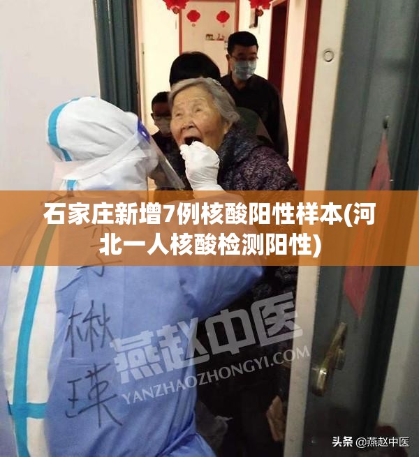 石家庄新增7例核酸阳性样本(河北一人核酸检测阳性)