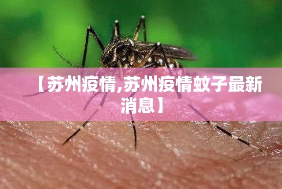 【苏州疫情,苏州疫情蚊子最新消息】 【苏州疫情,苏州疫情蚊子最新消息】