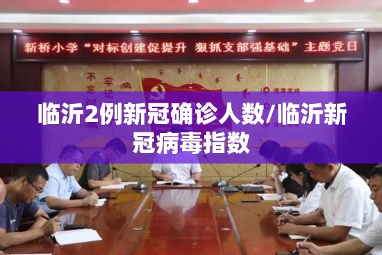 临沂2例新冠确诊人数/临沂新冠病毒指数
