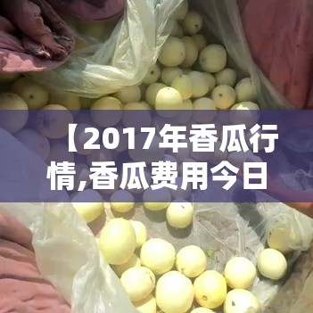【2017年香瓜行情,香瓜费用今日价一斤】