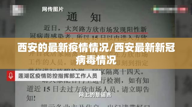 西安的最新疫情情况/西安最新新冠病毒情况 西安的最新疫情情况/西安最新新冠病毒情况