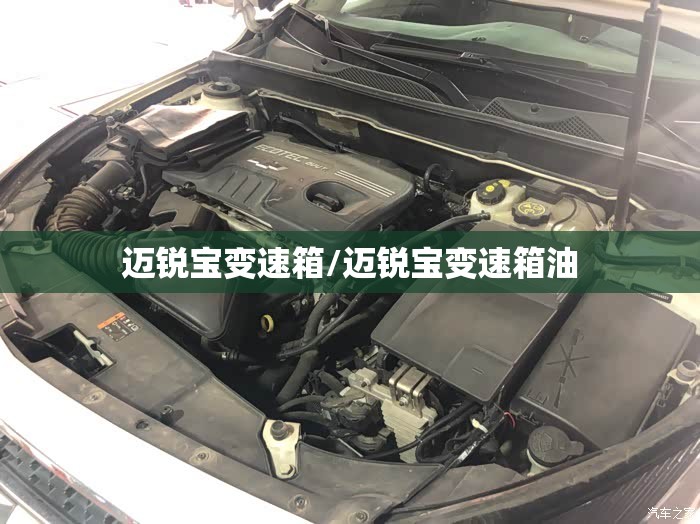 迈锐宝变速箱/迈锐宝变速箱油 迈锐宝变速箱/迈锐宝变速箱油