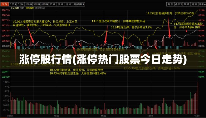 涨停股行情(涨停热门股票今日走势)