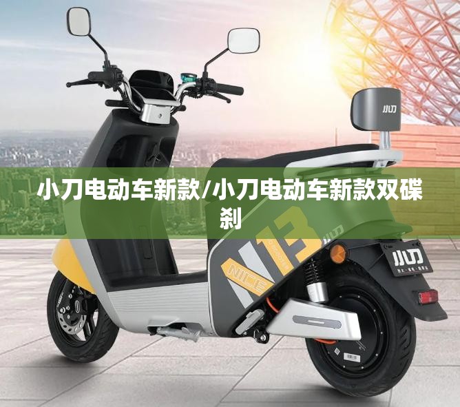 小刀电动车新款/小刀电动车新款双碟刹