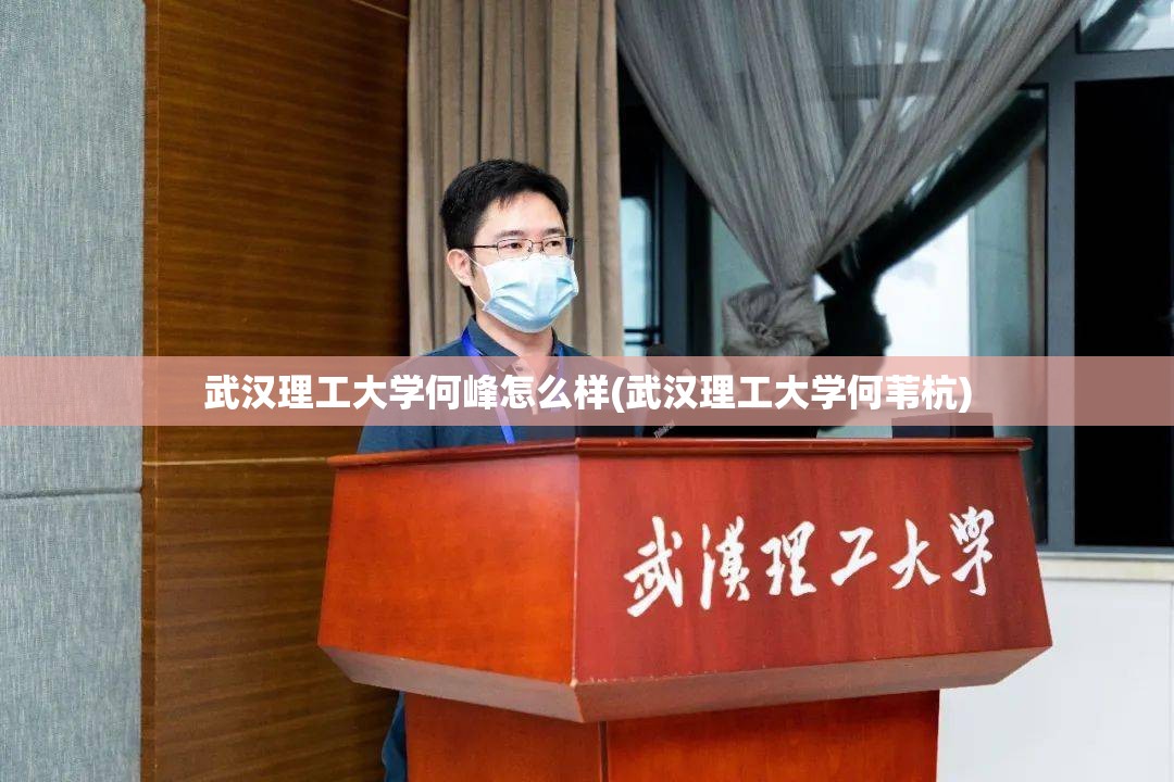 武汉理工大学何峰怎么样(武汉理工大学何苇杭)