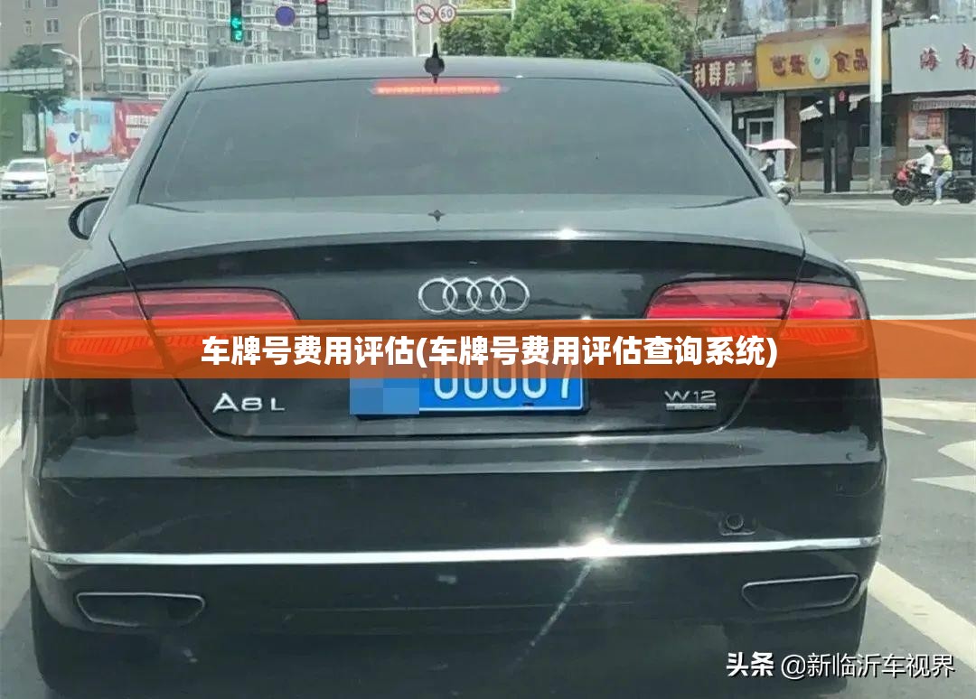 车牌号费用评估(车牌号费用评估查询系统)
