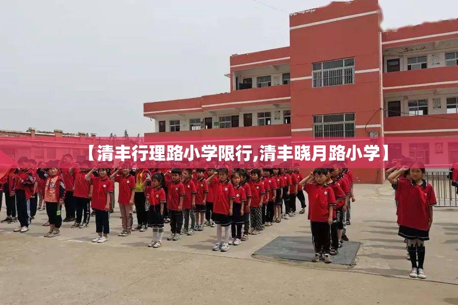 【清丰行理路小学限行,清丰晓月路小学】