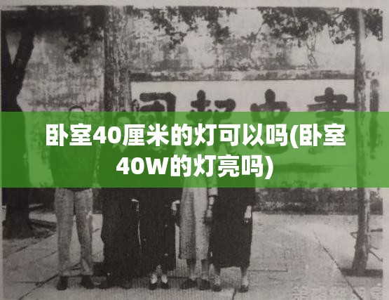 卧室40厘米的灯可以吗(卧室40W的灯亮吗)