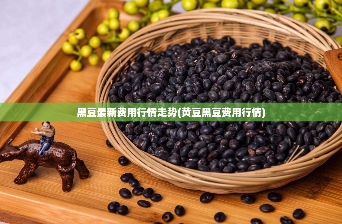 黑豆最新费用行情走势(黄豆黑豆费用行情) 黑豆最新费用行情走势(黄豆黑豆费用行情)