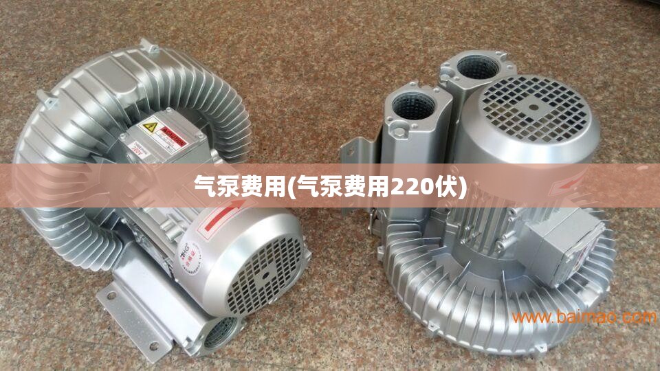 气泵费用(气泵费用220伏)
