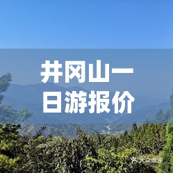 井冈山一日游报价行情(井冈山一日游报价行情怎么样)