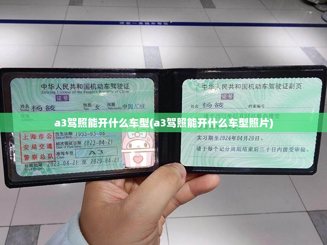 a3驾照能开什么车型(a3驾照能开什么车型照片)