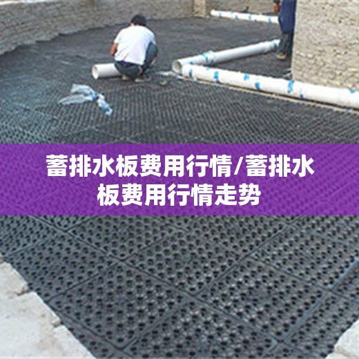 蓄排水板费用行情/蓄排水板费用行情走势