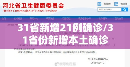 31省新增21例确诊/31省份新增本土确诊