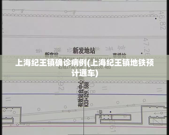 上海纪王镇确诊病例(上海纪王镇地铁预计通车)